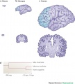 Thumbnail for version as of 16:09, 5 October 2011