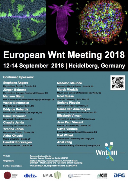 File:European Wnt Meeting Sep2018.jpg