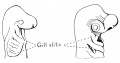 Fig. 14. Side views of head of embryo shark showing gill slits