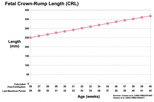 Third trimester Crown-Rump Length graph.jpg