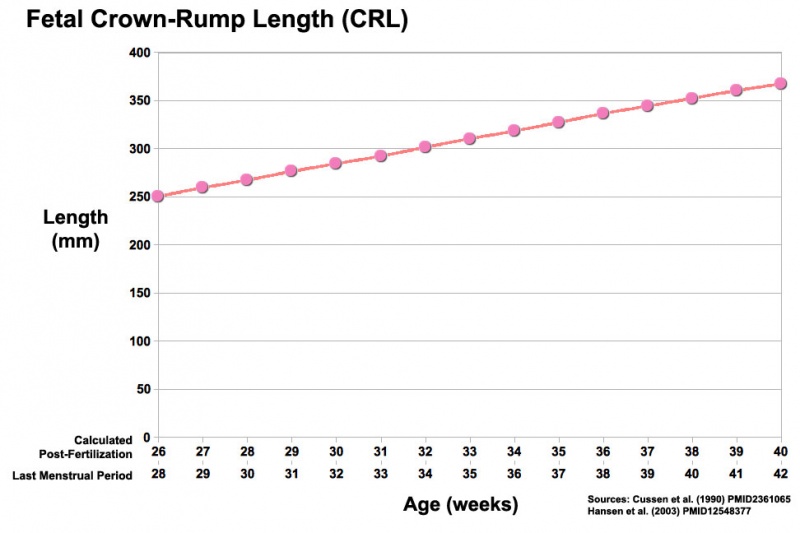 File:Third trimester Crown-Rump Length graph.jpg