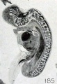 Fig. 185. Fetus in sagittal section showing maceration, especially of the nervous system. No. 285. X4.5.