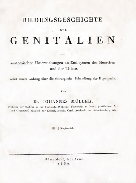File:Muller 1850 titlepage.jpg