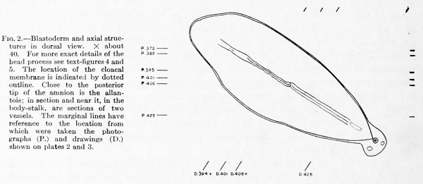Ingalls1918 fig02.jpg