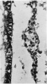 Thumbnail for version as of 14:35, 12 April 2015