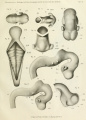 Thumbnail for version as of 11:27, 6 August 2017