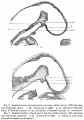 Thumbnail for version as of 09:26, 10 November 2016