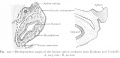 Thumbnail for version as of 13:49, 23 October 2016