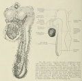 Thumbnail for version as of 14:44, 12 November 2018