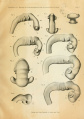 Thumbnail for version as of 12:17, 6 August 2017