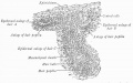 Thumbnail for version as of 12:54, 23 October 2016