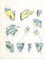 Thumbnail for version as of 11:45, 16 February 2011