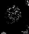 Thumbnail for version as of 14:53, 24 April 2013