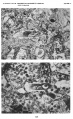 Thumbnail for version as of 12:01, 3 February 2017