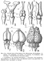 Thumbnail for version as of 17:05, 26 April 2015