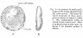 Thumbnail for version as of 18:24, 13 April 2015