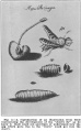 Thumbnail for version as of 16:50, 2 November 2015