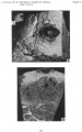 Thumbnail for version as of 10:38, 3 February 2017