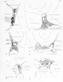 Thumbnail for version as of 11:54, 29 March 2011