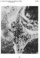 Thumbnail for version as of 12:00, 3 February 2017