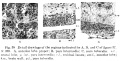 Thumbnail for version as of 11:04, 12 November 2016