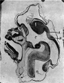 Thumbnail for version as of 16:20, 15 November 2015