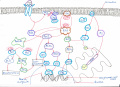 FGFR Signalling Pathway Z5015544 Student drawn image relevant to project. Original reference cited and student template included. Not all figure acronyms explained.