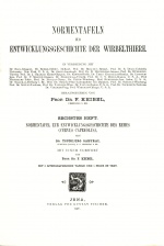 Keibel1906 titlepage.jpg