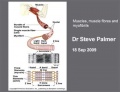 Thumbnail for version as of 01:31, 17 September 2009