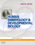 Human embryology and developmental biology 4th edn.jpg