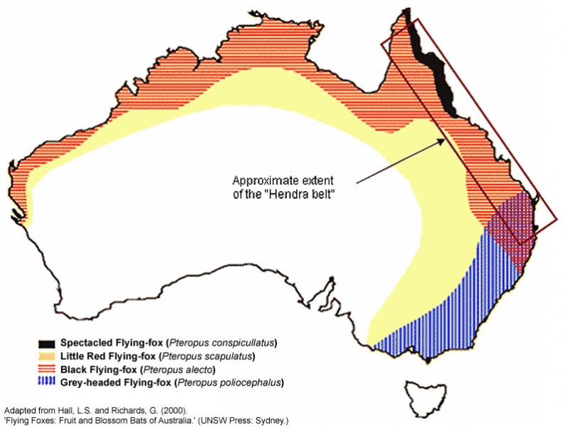 File:Australia map - bats and hendra virus.jpg