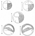 Fig. 35. Diagrams of median sagittal sections through an eight-cell stage and four stages during gastrulation of the frog's egg.