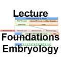FoundationsLecture-icon.jpg