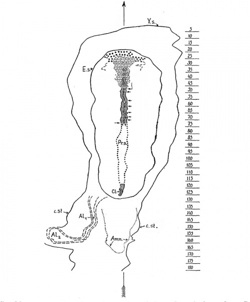 File:Hill1931 textfig01.jpg