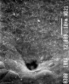 Nodal cilia and neurenteric canal