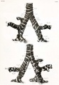 Thumbnail for version as of 15:12, 14 April 2012