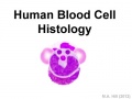 Blood cells icon 01.jpg