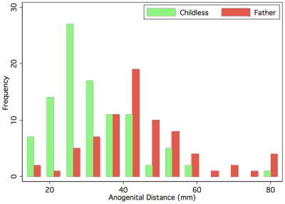 Human male anogenital distance graph.jpg