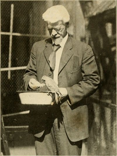 Charles Otis Whitman 1908.jpg