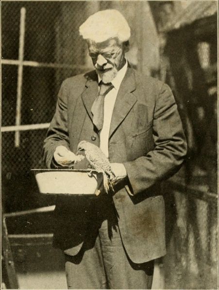 File:Charles Otis Whitman 1908.jpg