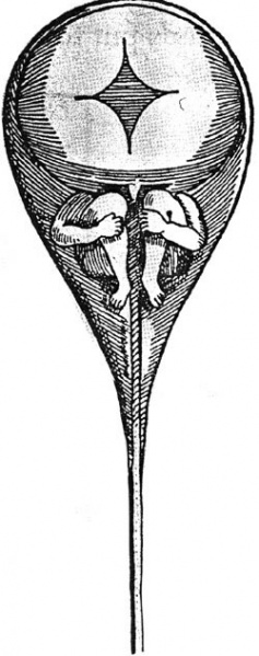 File:Hartsoeker 1740 sperm woodcut.jpg