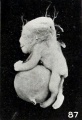 Fig. 87. Stunted fetus with large hernia in umbilical cord. No. 1330. X0.9.