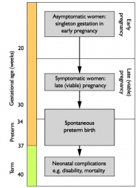 Preterm birth screening.jpg