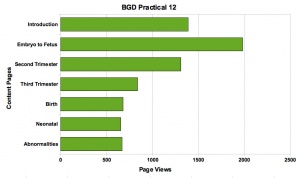BGD Practical 12 2010- page view graph01.jpg