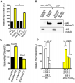 Nuclear accumulation of Hsp70 mRNA caused by Fragile X premutation rCGG repeats