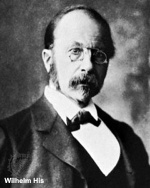 Wilhelm His.jpg