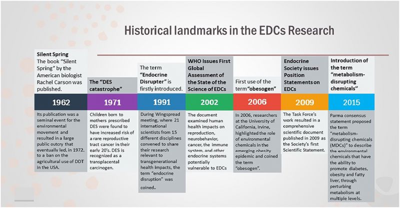File:Endocrine disrupting chemicals historical timeline.jpg