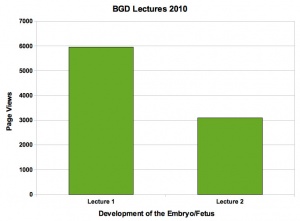 BGD Lectures 2010- page view graph01.jpg