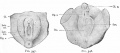 Fig. 347-348