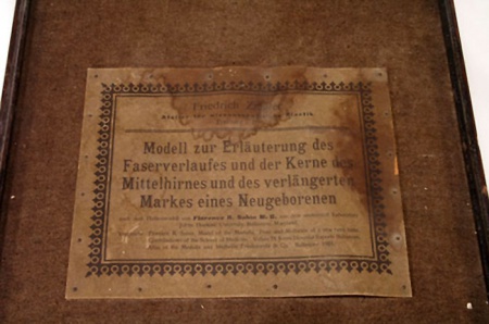 Embryology History - Ziegler Models - Embryology